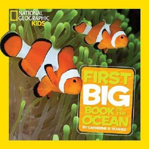 Okładka książki  Little Kids First Big Book of the Ocean  7
