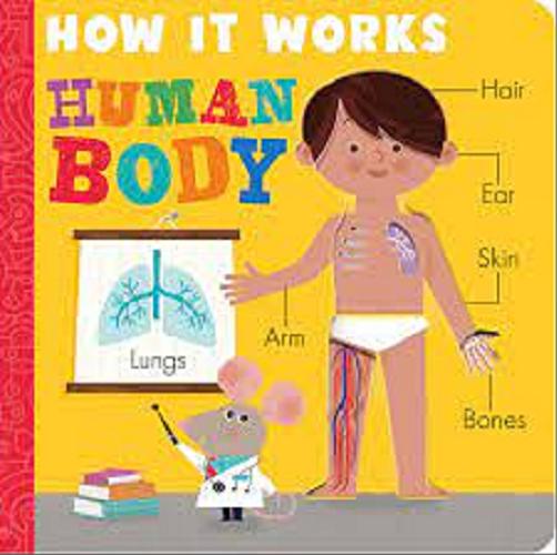 Okładka książki How it works : human body / [by Amelia Hepworth ; illustrated by David Semple].