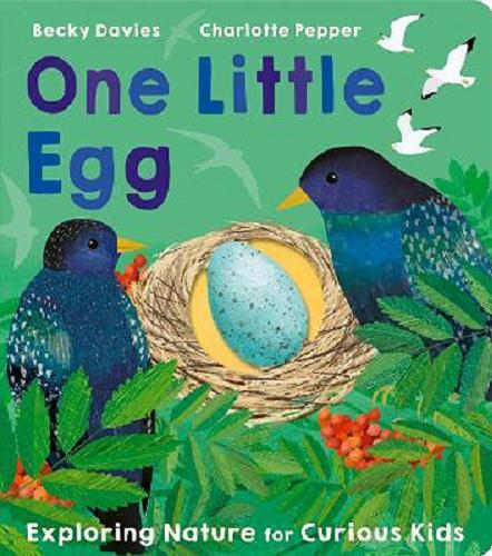 Okładka książki One little egg / text Becky Davies ; illustrated by Charlotte Pepper.