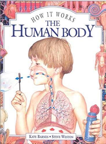 Okładka książki How it Works: The Human Body / Kate Barnes ; Steve Weston.