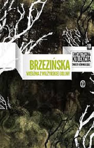 Okładka książki Wiedźma z Wilżyńskiej Doliny / Anna Brzezińska.