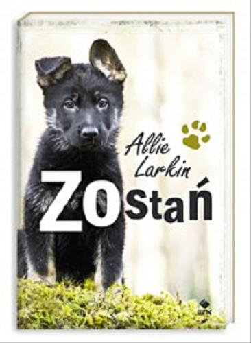 Okładka książki Zostań / Allie Larkin ; przełożyła Anna Płocica.