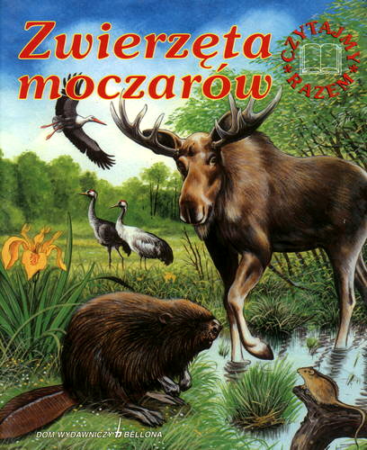 Okładka książki Zwierzęta moczarów / Krzysztof Wiśniewski.