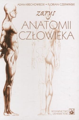 Okładka książki Zarys anatomii człowieka / Adam Krechowiecki ; Florian Czerwiński.