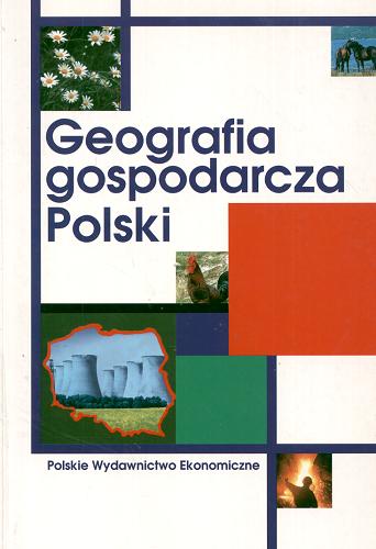 Okładka książki Geografia gospodarcza Polski : praca zbiorowa / pod red. Ireny Fierli.