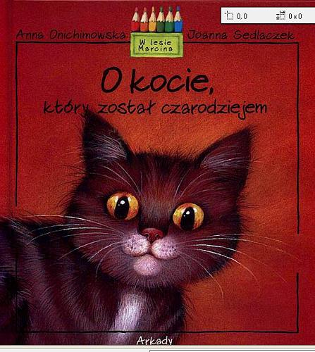 Okładka książki O kocie, który został czarodziejem / napisała Anna Onichimowska ; namalowała Joanna Sedlaczek.