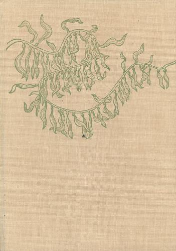 Okładka książki Interesująca botanika / Johannes Petermann, Wolfgang Tschirner ; z niem. tł. Aleksandra Hoffmanowa ; [il. Lutz-Erich Müller].