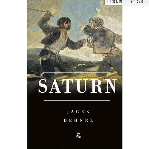 Okładka książki Saturn : czarne obrazy z życia mężczyzn z rodziny Goya / Jacek Dehnel.