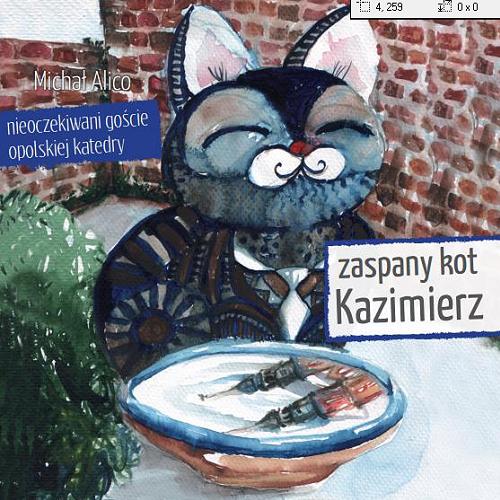 Okładka książki  Zaspany kot Kazimierz  3