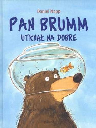 Okładka książki Pan Brumm utknął na dobre / Daniel Napp ; przełożyła [z niemieckiego] Elżbieta Zarych.