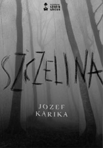 Okładka książki Szczelina / Jozef Karika ; tłumaczenie Joanna Betlej.
