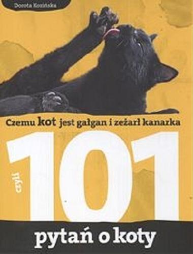 Okładka książki Czemu kot jest gałgan i zeżarł kanarka czyli 101 pytań o koty / tekst Dorota Kozińska ; ilustracje Rafał Szczepaniak.