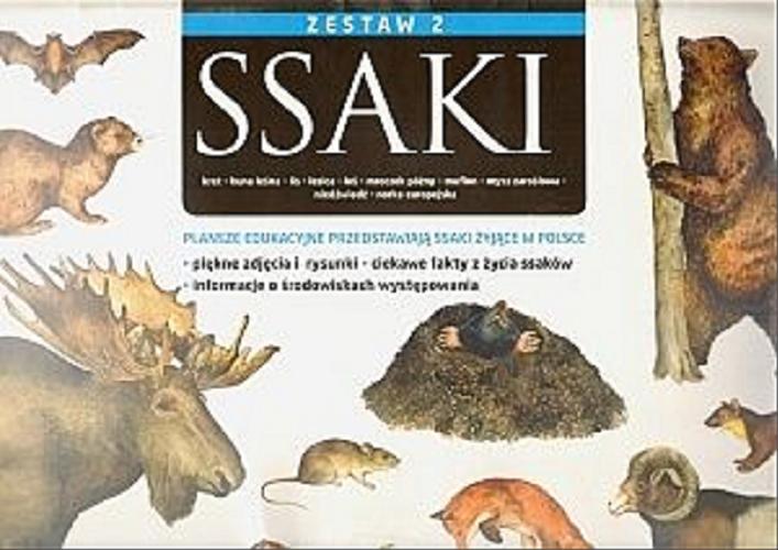 Okładka książki  Ssaki : Zestaw 2 : Kret, kuna leśna, lis, łasica, łoś, mroczek późny, muflon, mysz zaroślowa, niedźwiedź, norka europejska  10