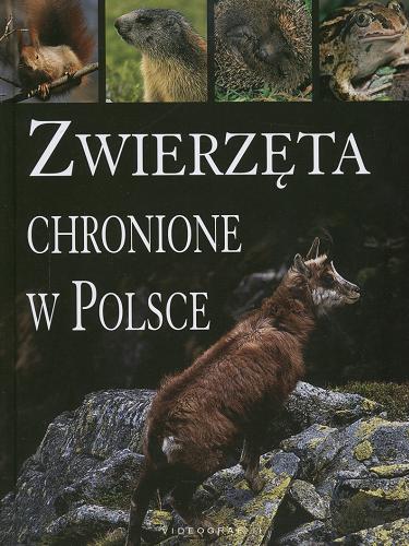 Okładka książki Zwierzęta chronione w Polsce / Agnieszka i Włodek Bilińscy ; tekst Leszek Trząski.