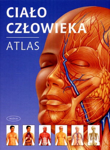 Okładka książki Ciało człowieka : atlas / [red. prowadzący Janet Parker ; tł. Dorota Borzykowska-Skotnicka].