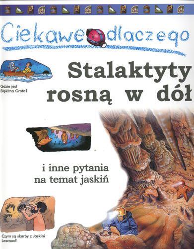 Okładka książki Stalaktyty rosną w dół : i inne pytania na temat jaskiń / Jackie Gaff ; il. Peter Dennis ; il. Frank Kliemt ; tł. Janusz Ochab.