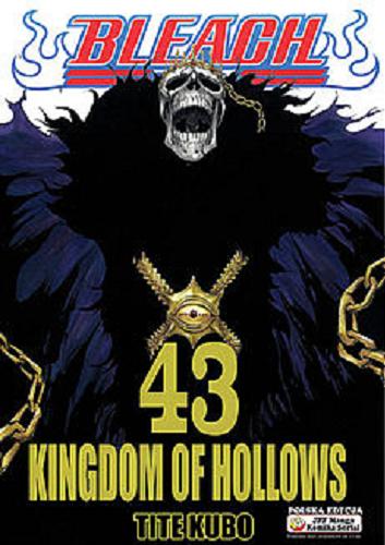 Okładka książki Kingdom of Hollows / Kubotite ; [tłumaczenie Paweł 