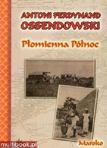 Okładka książki Skarb Wysp Andamańskich : powieść dla młodzieży / Antoni Ferdynand Ossendowski.