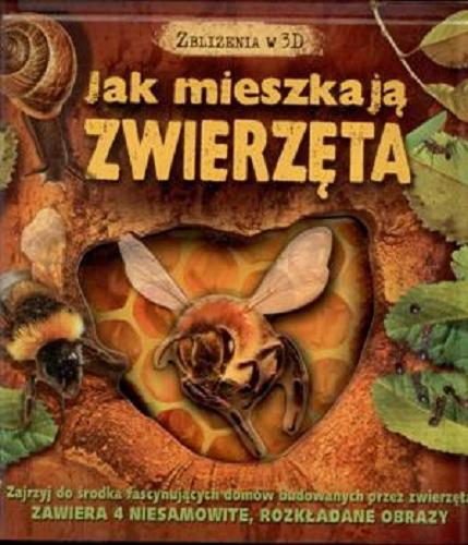 Okładka książki Jak mieszkają zwierzęta / Barbara Taylor ; tł. [z ang.] Justyna Zamoyska.