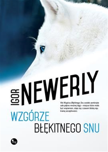 Okładka książki Wzgórze Błękitnego Snu / Igor Newerly.