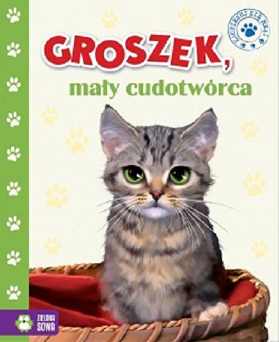 Okładka książki Groszek, mały cudotwórca / Marzena Kwietniewska-Talarczyk ; il. Ewa Zabaryło-Duma.