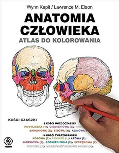 Okładka książki Anatomia człowieka : atlas do kolorowania / Wynn Kapit, Lawrence M. Elson ; przełożyła Magdalena Hermanowska.