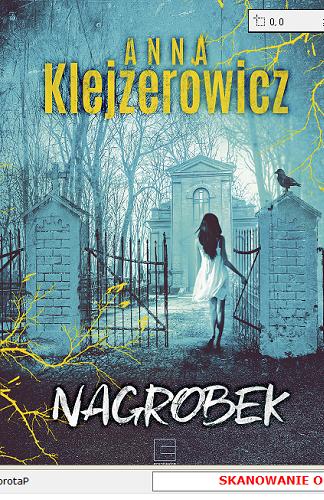 Okładka książki Nagrobek / Anna Klejzerowicz.