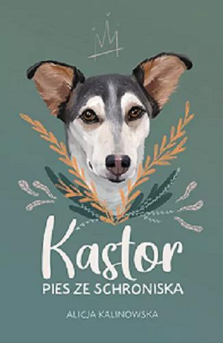 Okładka książki Kastor : pies ze schroniska / Alicja Kalinowska.