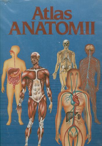 Okładka książki Atlas anatomii / Bernabe de Gil ; przeł. Iwona Olczak.