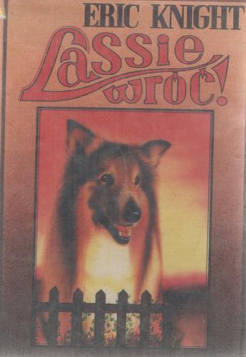 Okładka książki Lassie, wróć! / Eric Knight ; przeł. [z ang.] Włodzimierz Grabowski ; il. Zbigniew Morzyński.