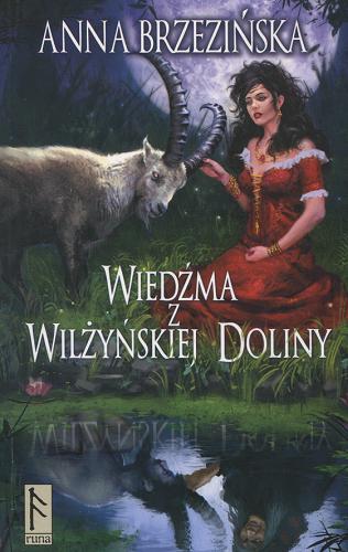 Okładka książki Wiedźma z Wilżyńskiej Doliny / Anna Brzezińska ; [ill. by Piotr Szot].