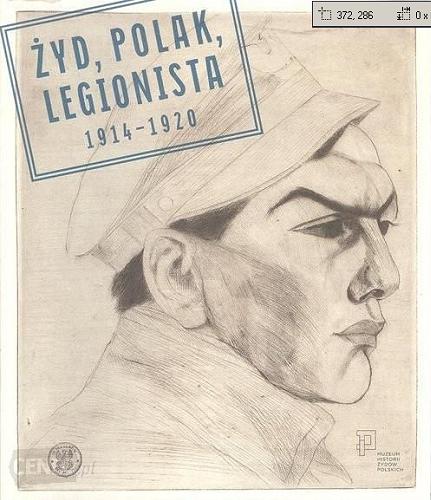 Okładka książki Żyd, Polak, legionista 1914-1920 / koncepcja i redakcja naukowa Artur Tanikowski.